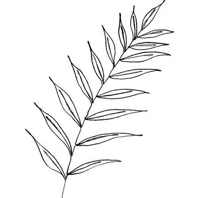 Kris Kivu Botanical Line Art Ink Leaf Shower Curtain White - Deny Designs - Image 2