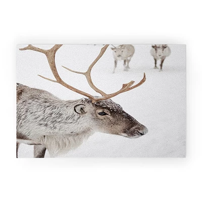 Henrike Schenk Travel Photography Reindeer With Antlers Art Print Tromso Norway Animal Snow Photo Welcome Mat - Society6 - Image 5