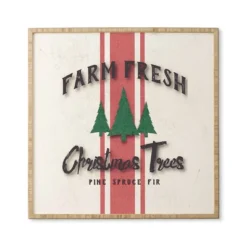 30" X 30" Monika Strigel Farmhouse Shabby Sign Fresh Trees Bamboo Framed Wall Art - Deny Designs